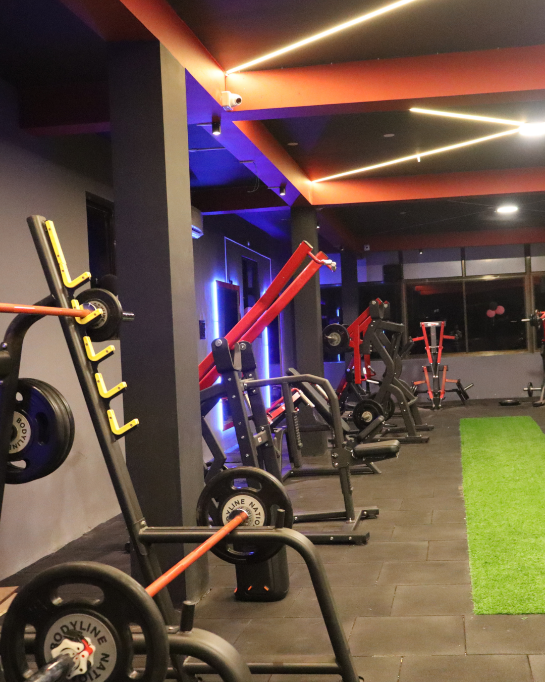 Livefit members training together